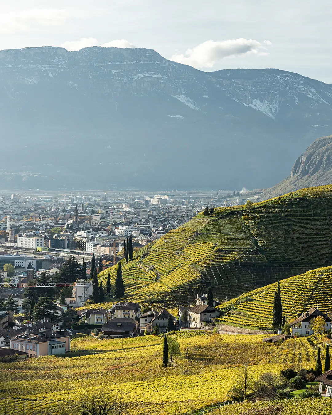 Bozen